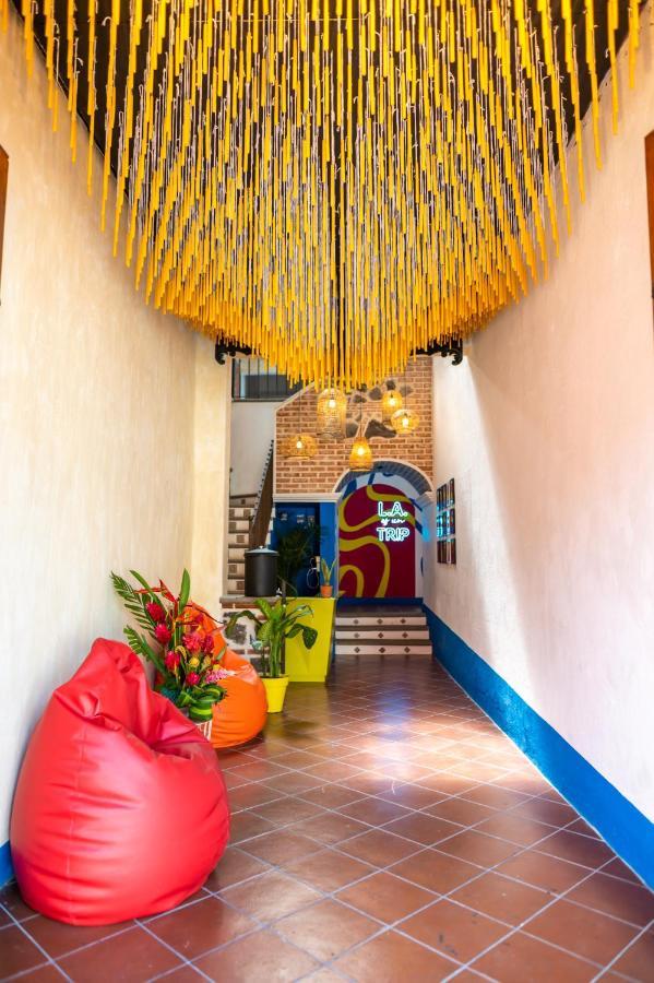 Why Not Hotel Antigua Buitenkant foto